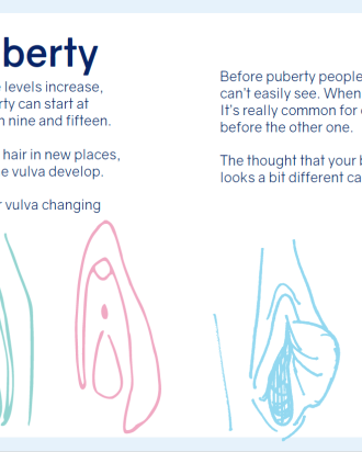 So what is a vulva anyway?